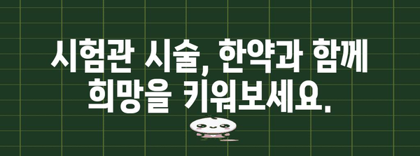 시험관 시술 전 한약으로 성공 확률 향상