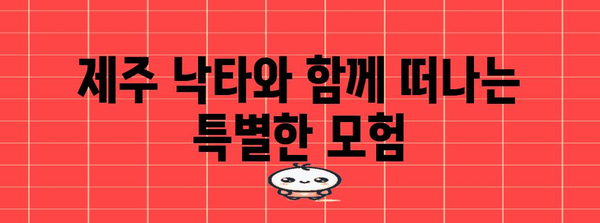 제주 낙타 트래킹 | 잊지 못할 5가지 액티비티