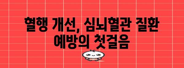 혈행 개선 건강식품 | 심뇌혈관 질환 리스크 다운