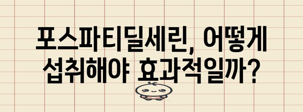 포스파티딜세린 | 기억력과 집중력을 높이는 핵심 영양소