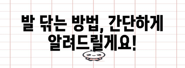 강아지 발 관리 가이드 | 산책 후 발 닦는 것의 중요성