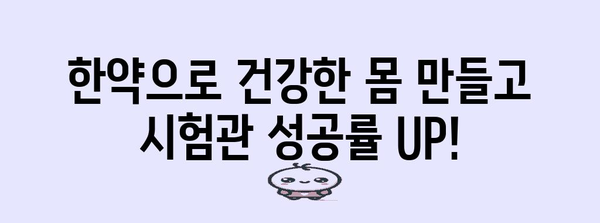 시험관 시술 전 한약으로 성공 확률 향상