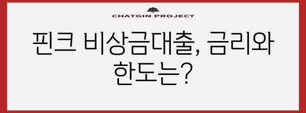 핀크 비상금대출 가이드 | 생활비 대출 조건과 신청 방법