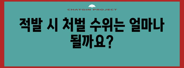 국고 보조금 부정 수급 | 대응 가이드