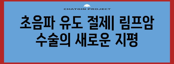 림프암 수술 혁명 | 초음파 유도 절제