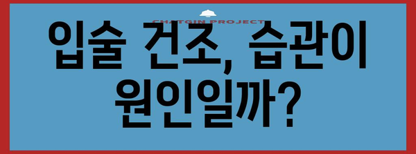 입술 건조의 원인, 습관과 환경 분석