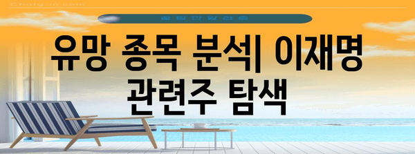 이재명 관련주 | 정치적 영향력 분석 및 주식 시장 전략