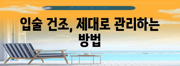 입술 건조의 원인, 습관과 환경 분석