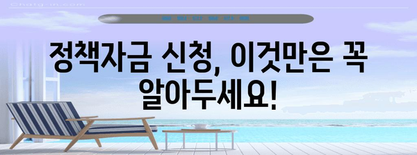 정부 정책자금 신청하기 | 시기, 고려 사항, 성공 확률