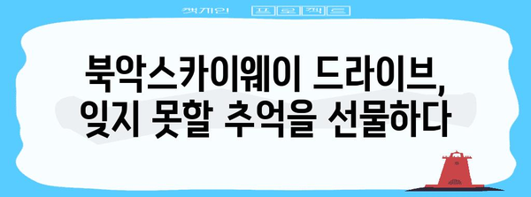 북악스카이웨이 드라이브 | 조명의 도시를 탐험하는 신나는 여행