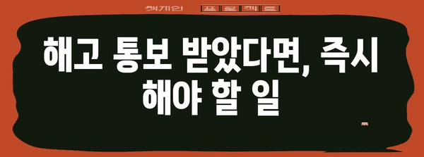 부당해고 대응 노무사가 말하는 권리 확보 가이드