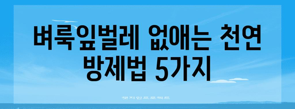 벼룩잎벌레 박멸 가이드 | 천연 방제, 친환경 해결책, 잎벌레 퇴치