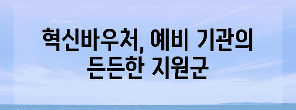 혁신바우처를 활용한 믿음직한 예비 기관