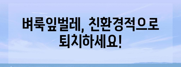 벼룩잎벌레 박멸 가이드 | 천연 방제, 친환경 해결책, 잎벌레 퇴치