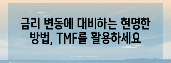 미국 장기채 ETF (TMF) | 금리 하락기에 빛나는 투자
