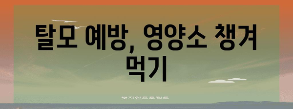 가을철 탈모 SOS | 빠지는 머리카락을 막는 방법