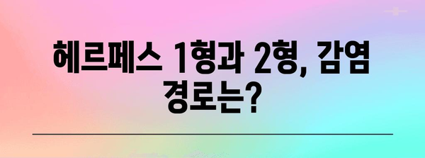 구내염 진단 가이드 | 헤르페스 1형과 2형 차이점