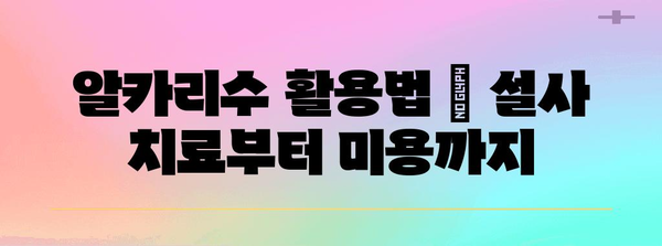 알카리수 활용법 | 설사 치료부터 미용까지