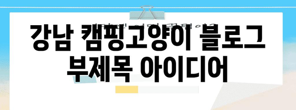 강남 캠핑고양이 | 고양이와 즐기는 야외 힐링 휴식