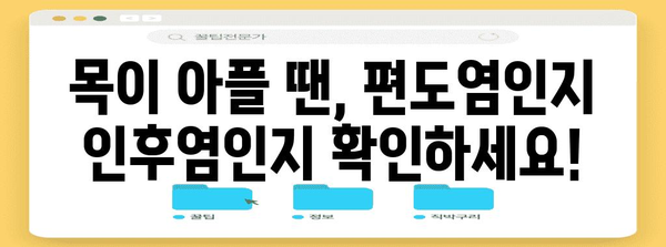 편도염 vs 인후염 구분법 | 증상과 차이점