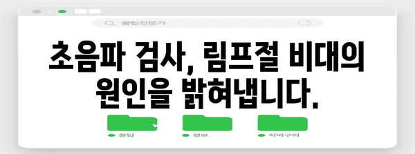 림프절비대 진단 | 초음파를 활용한 초기 증상 판독법