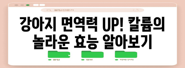 강아지 면역력 꿀팁 | 칼륨이 면역력에 미치는 놀라운 영향