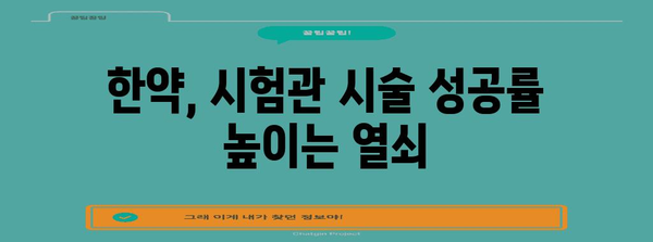 시험관 시술 전 한약으로 성공 확률 향상