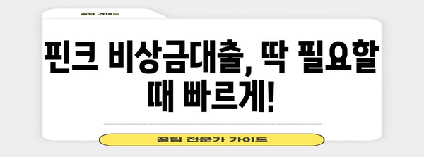 핀크 비상금대출 가이드 | 생활비 대출 조건과 신청 방법