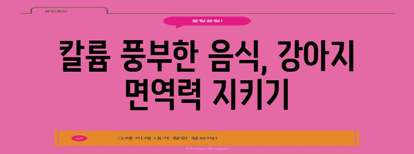 강아지 면역력 꿀팁 | 칼륨이 면역력에 미치는 놀라운 영향