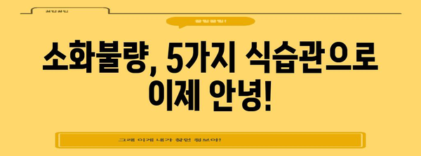 배의 꾸르륵 소리 | 5가지 식습관으로 소화불량 해결