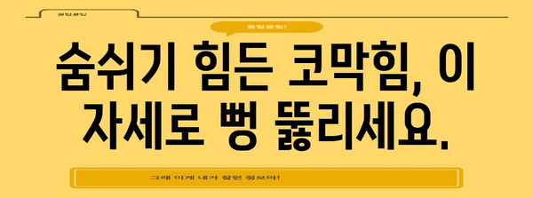 코막힘 해소 | 쉬운 자세 5가지