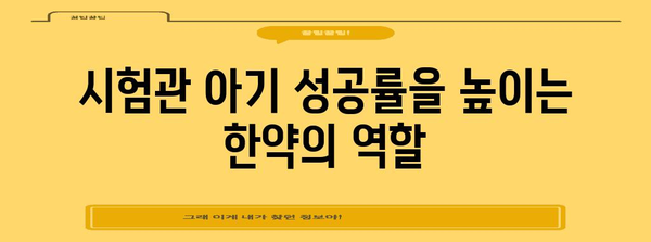 시험관 아기 위해 한약 활용하는 방법 | 불임 치료에 도움 주는 것들