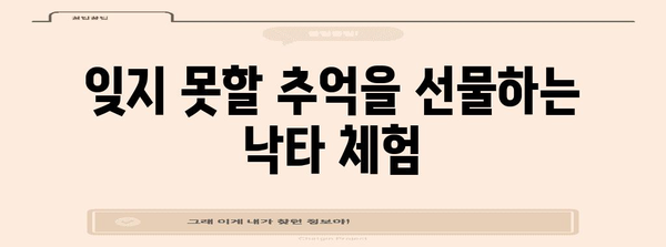 제주 낙타 트래킹 | 잊지 못할 5가지 액티비티