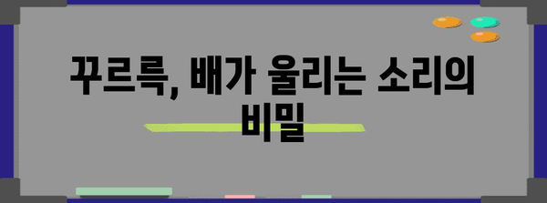 배의 꾸르륵 소리 | 5가지 식습관으로 소화불량 해결