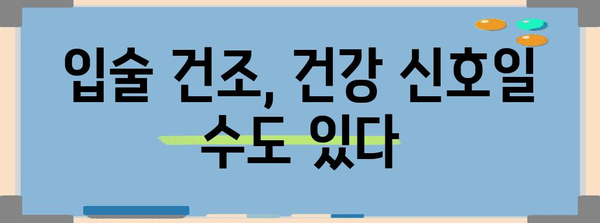 입술 건조의 원인, 습관과 환경 분석