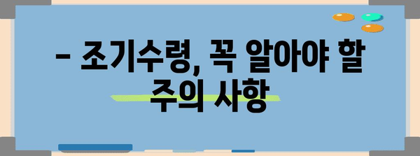 국민연금 조기수령 가이드 | 조건 및 절차 파악