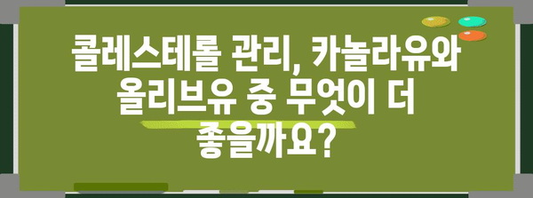 콜레스테롤 관리 식단 | 카놀라유 vs 올리브유, 건강한 선택 안내