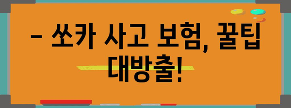 쏘카 임대차 사고 보험 처리 완벽 가이드