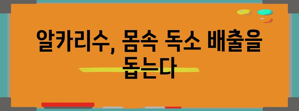 알카리수 활용법 | 설사 치료부터 미용까지