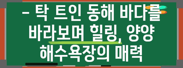 양양 해수욕장 | 서핑과 낚시의 천국, 여름 휴가 최고의 선택
