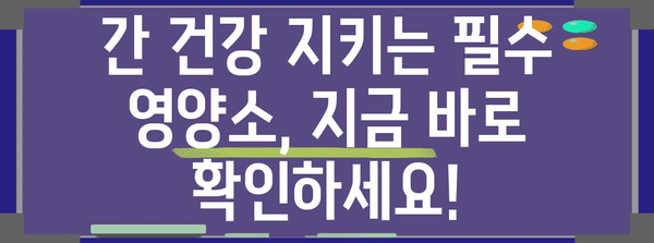 간수치 개선에 도움이 되는 건강 성분 추천