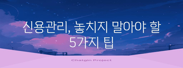 KCB NICE 신용관리 가이드 | 점수 올리기와 신용등급 개선