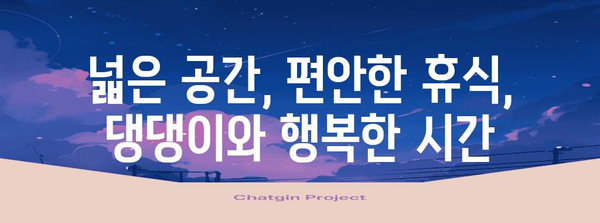 창원에서 애견과 함께 즐기는 맛있는 베이글 카페