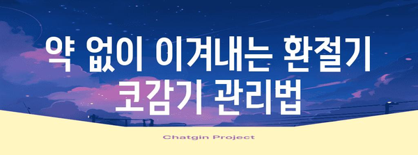 환절기 코감기 빠른 해결법 | 증상 완화 꿀팁과 예방 조치