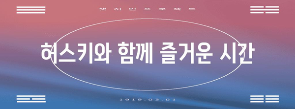 애견과 함께하는 행복한 순간 | 허스키 애견 카페