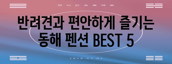 동해 애견 동반 여행 가이드 | 바닷가 펜션 추천