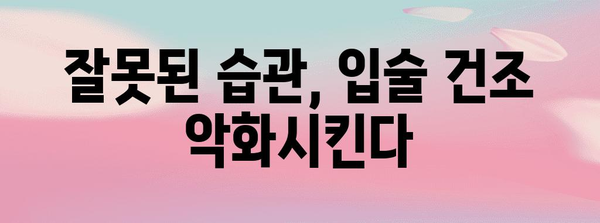 입술 건조의 원인, 습관과 환경 분석