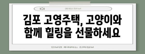 김포 고영주택 | 고양이 애호가를 위한 최고의 방문 가이드
