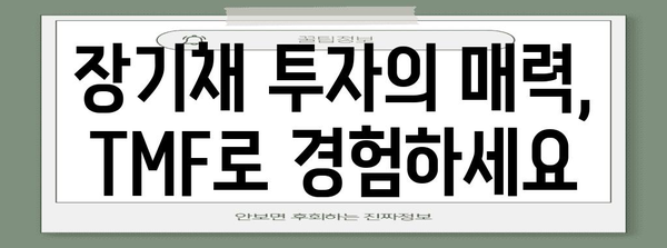 미국 장기채 ETF (TMF) | 금리 하락기에 빛나는 투자