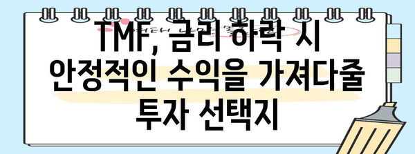 미국 장기채 ETF (TMF) | 금리 하락기에 빛나는 투자